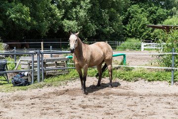 Bild 179 - Vivi